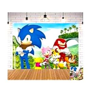 Sonic photo backdrop